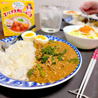 【グルメ】「印度カリー子監修スパイスカレーベース」を使ったキーマカレー！【PR】