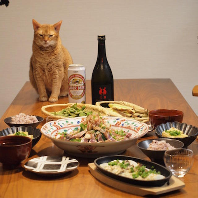たっぷり野菜と鰹のたたきの夜ごはん