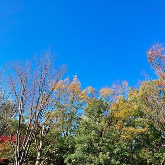 秋空