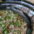 野郎飯流・特盛りさんまの土鍋ご飯