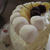 HAPPY BIRTH DAY
