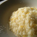 Risotto allo Yuzu 柚子のリゾット