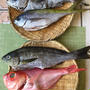 魚のお取り寄せ＿6月　　♪金目鯛の湯引きと煮付け♪