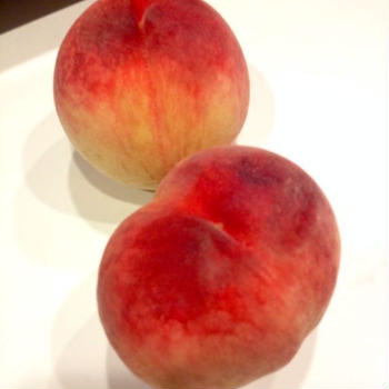 【レシピ】桃のコンポート