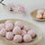 【特集】桜のブールドネージュ　cotta「春に作りたい桜のお菓子」レシピ