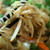 ■昼麺【肉野菜炒めと茹でうどんで　焼きそば風焼うどんです♪】