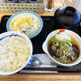 ネギおろしハンバーグ定食を食べる 〜松屋・期間限定〜