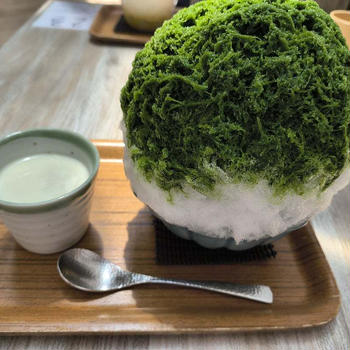 埜庵