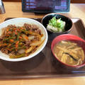 ニンニクの芽牛丼の中盛を冷やっこセットにして食べる 〜すき家〜