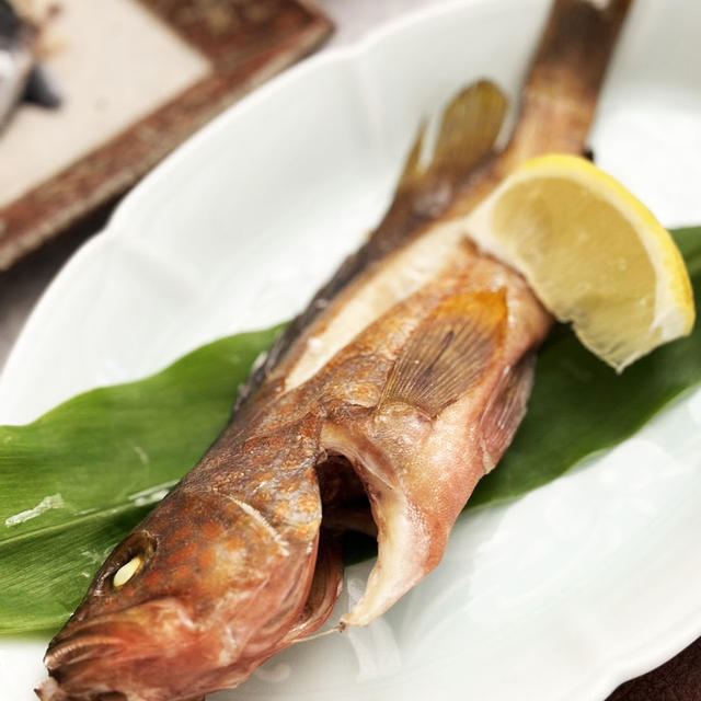 なめら（キジハタ）の塩焼き・・・むっちり美味しい白身♫