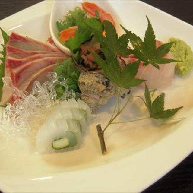 馬刺し、炙りシメサバ、「遊食亭　やじお」