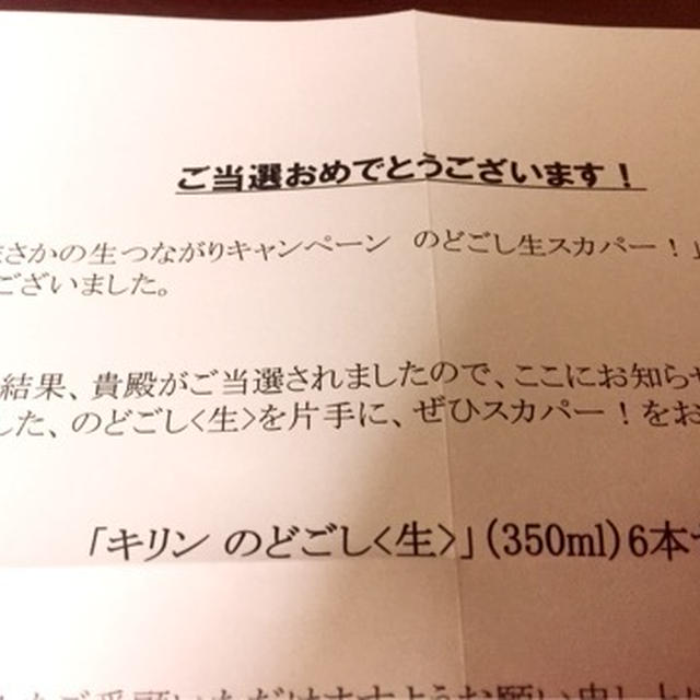 のどこし　当選