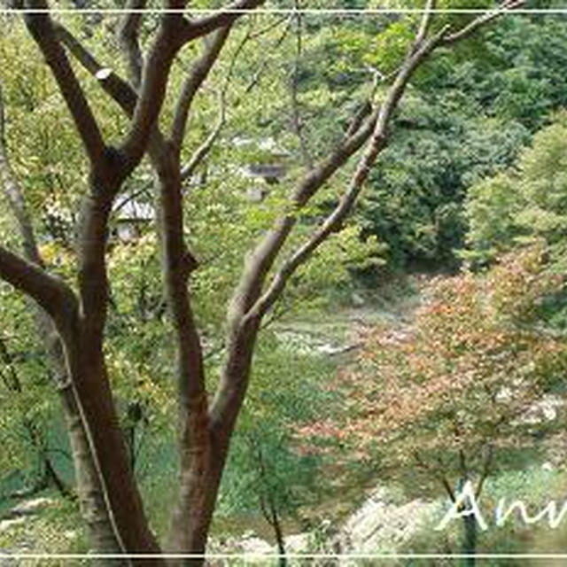 ☆2009 初秋の京都①：保津川＆トロッコ☆