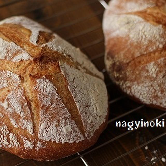 今週のパン・ド・ロデヴ