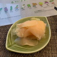 お寿司屋さんよりおいしい！？高知県産囲しょうがで作るやみつきガリ（甘酢生姜）【#簡単 #節約 #おつまみ #おうち居酒屋】