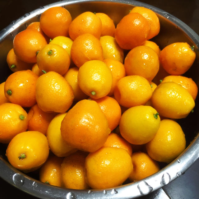 簡単〜金柑の甘露煮
