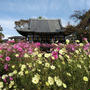 今更…。奈良ひとっ走り旅2日目は、初めてのお寺さん。花の寺【般若寺】