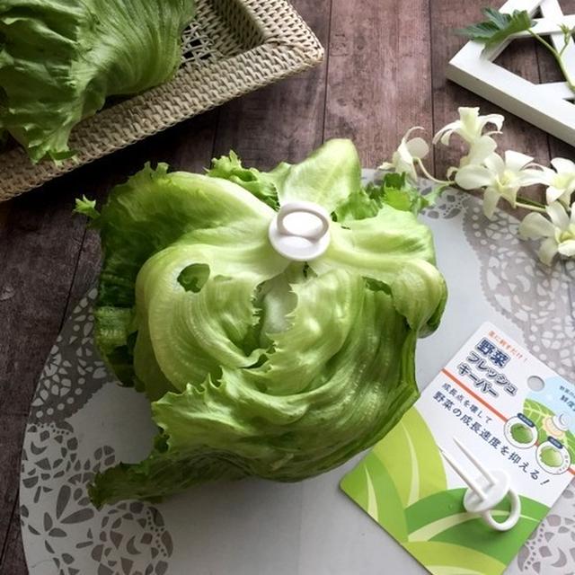 この時期ちょっと便利な１００均グッズ！葉物が長持ち「野菜フレッシュキーパー」