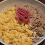 スパイス大使｜鶏そぼろ丼