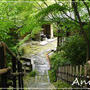 ☆2011 梅雨の京都④：野仏庵 その2☆