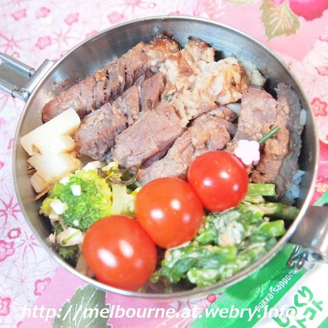 花粉症です　＆　ステーキ弁当