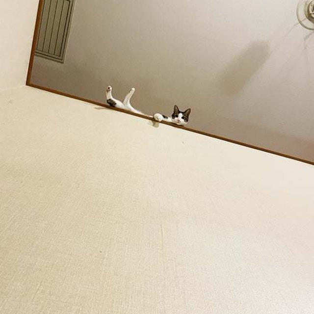 お・ち・る・ぞ・てん！
