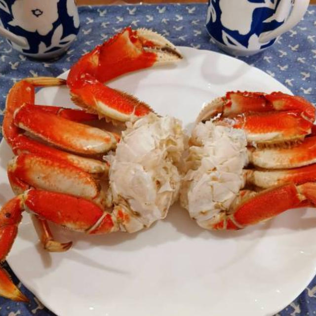 普通の土曜日 ～ 小さめの蟹だったから失敗だった