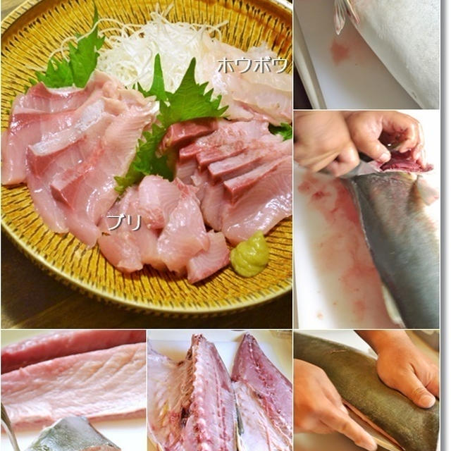ダンナさんの釣果食堂( *´艸｀)