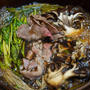 三関せりと黒舞茸と牛肉の、すき焼き風甘口しょうゆ鍋