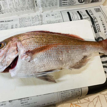 長崎の魚は美味しいですよ～Fromボナペティ～