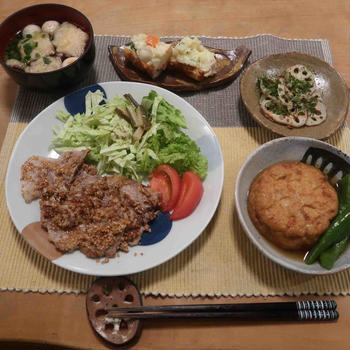 豚ロース肉のマヨ胡麻焼の晩ご飯と　キバラヘリカメムシ♪