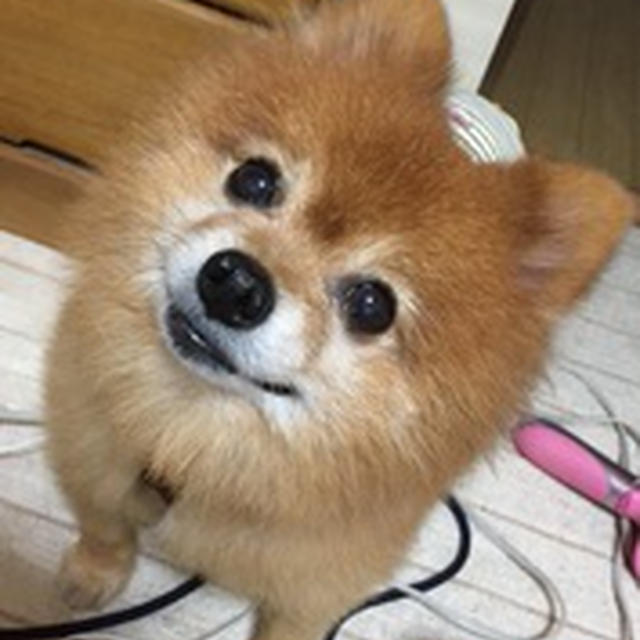 朝からビックリ！！