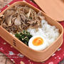 1品で楽うま地味べんとう　レシピあります