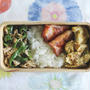 パクチーメンマと、パクチー入り卵焼きのお弁当