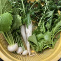 家庭菜園の収穫野菜。おろし蕎麦