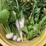家庭菜園の収穫野菜。おろし蕎麦
