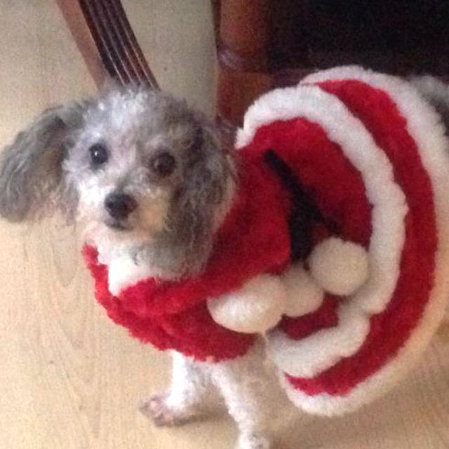 クリスマスお寿司パーティー♪