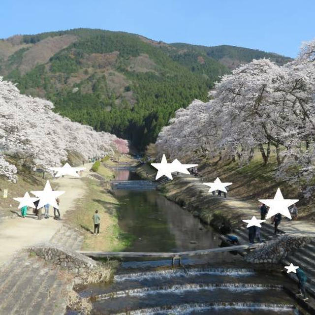 三世代で公園でシャボン玉