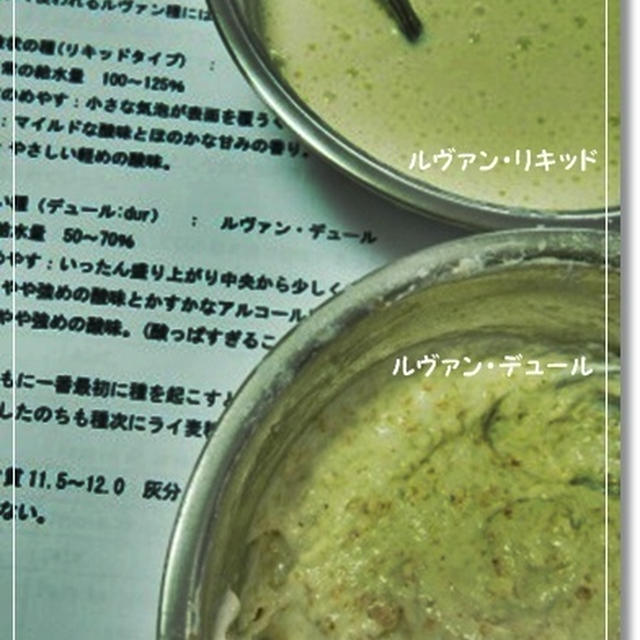 自家製酵母のヲタ話