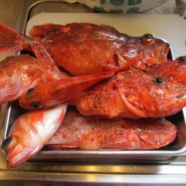 【外房・大原】遅ればせながら初夏の根魚祭り
