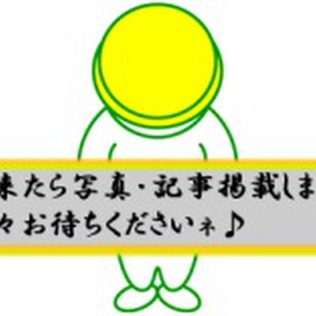 ブロッコリーと豚肉のうま炒め