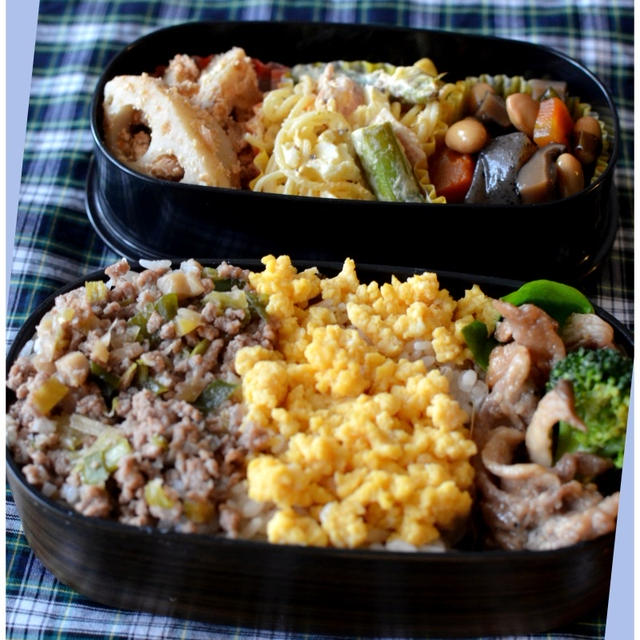 Theおふくろの味満載弁当！！！母の、義母の、妻の・・・？？？