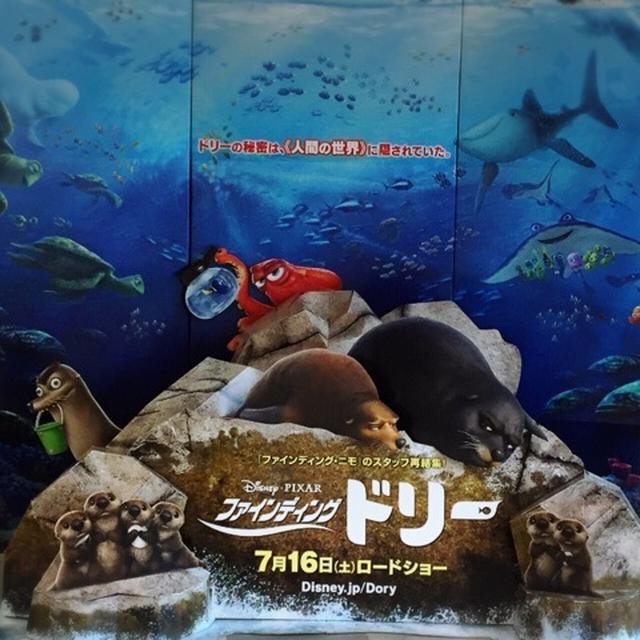 ファイディングドリーとかランチ　de　のんびりと。。。