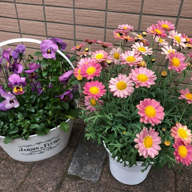 【プチプラ美容】乾燥や保湿ケアに❤️優秀スキンケア