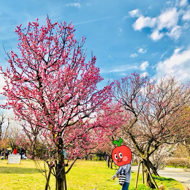公園に行きました～！！