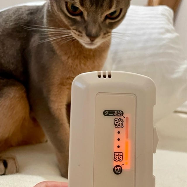 この冬、とうとうアレに手を出してしまった… ＆楽天で見つけた気になるチョコやウェアやバッグなどものあれこれ