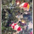 2010クリスマス～♪の巻