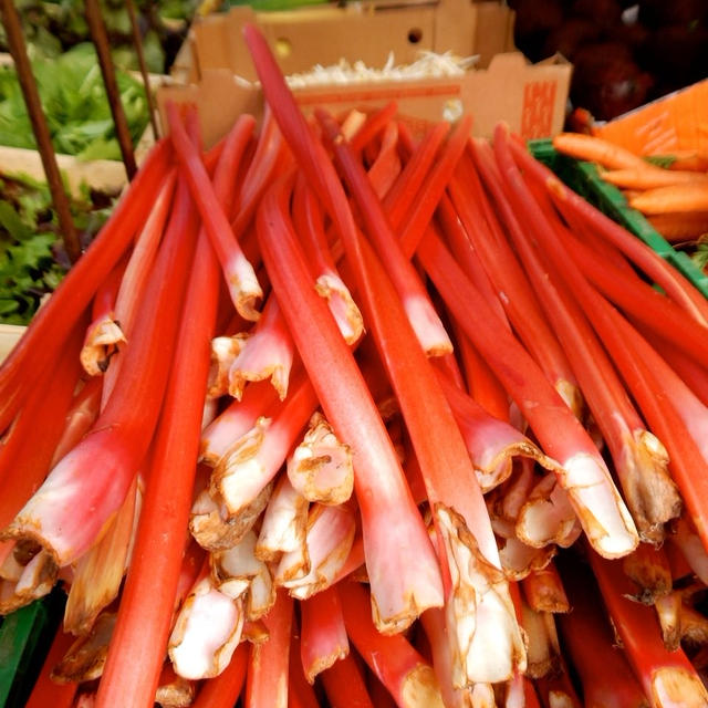 Rhubarb Tart – ルバーブのタルト- Tarte à la Rhubarbe