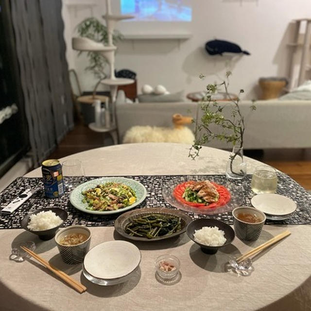 ゴーヤ炒めとバンバンジーの夜ごはん＆コテンパンからの追い詰められたわか坊