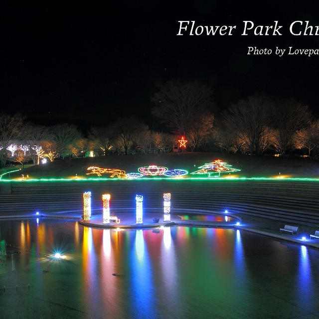 Flower Park Christmas